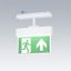 VOYAGER STYLE 115 P CON ECP WH - Escape sign luminaire thumbnail 2