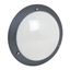 ESSENTIEL 1000LM 4000K  AV DETECTION HF BLACK thumbnail 1
