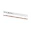 Z-SV-10/1P+N-F/18 Horizontal busbar, 10mm², 1P+N thumbnail 4