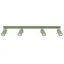 Ceiling lamp RING 4L sage thumbnail 1
