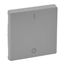 Cover plate Valena Life - double-pole switch - aluminium thumbnail 2