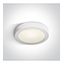 WHITE PLAFO 15W CCTV IP40 230V thumbnail 1