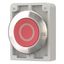 M30I-FDR-R-X0 Pushbutton, RMQ-Titan, flat, maintained, red, inscribed, Front ring stainless steel thumbnail 3