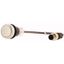 C22-D-W-K10-P3 Pushbutton, Flat, momentary, 1 N/O, Cable (black) with M12A plug, 4 pole, 0.5 m, White, Blank, Bezel: titanium thumbnail 3