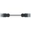 pre-assembled interconnecting cable B2ca Socket/plug gray thumbnail 3