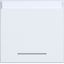 Rocker single, text field, clear lens, A.x/C.x, light white matte thumbnail 1