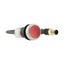 C22-DRL-R-K01-24-P3 Illuminated pushbutton actuators, maintained, red, 24v, 1 N/C, with cable 0.5m and M12A plug thumbnail 16