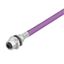 Built-in plugs, M12, PG 9, Number of poles: 2, 2 m thumbnail 1
