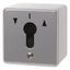 Blind push button 1-prong for key cylinder, surface-mounted, cast IP44 thumbnail 1
