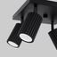 CEILING LAMP WITH FOUR SPOTLIGHTS ON A SQUARE ROSETTLE, CARBON SERIES thumbnail 6