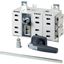 DDC-250/2/M4/P-G DC switch disconnector, 250 A, 2 pole, 2 N/O, 2 N/C, with grey knob, rear mounting thumbnail 2
