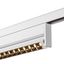 IN-LINE 24 48V TRACK Move DALI, Darklight Reflector, spot, white / white, 7.3W, 610lm, 3000K, CRI90, 35° thumbnail 2