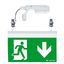 PURESIGN/COMSIGN 150 P MRCR-WF15 ECP SR - Escape sign luminaire thumbnail 1