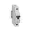 MCB RX³ 4500 - 1P - 230/400V~ - 40 A - C curve thumbnail 2