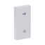 Central plate for room temperature controller Busch-balance® SI thumbnail 4
