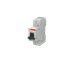 MD99 thumbnail 3