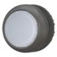 M22S-DL-W Illuminated pushbutton actuator, RMQ-Titan, Flush, momentary, White, Blank, Bezel: black thumbnail 2