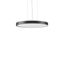 TRIONA round, 31 W, 3750 lm, 830, anthracite, DALI Pendant luminaires, thumbnail 1