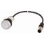C22-DL-W-K10-24-P1 Illuminated pushbutton actuator, Flat, momentary, 1 N/O, Cable (black) with M12A plug, 4 pole, 0.2 m, LED white, White, Blank, 24 V AC/DC, Bezel: tita thumbnail 1