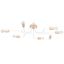 TIMBO CHANDELIER 8 WHITE 8XE27 thumbnail 8