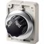 M30I-FWR-X91 Changeover switch, RMQ-Titan, with rotary head, maintained, 2 positions, inscribed, Front ring stainless steel, AUTO HAND thumbnail 3