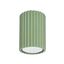 Ceiling lamp KARBON 10 sage thumbnail 2