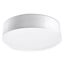 CEILING LAMP ARENA 45 WHITE E27 3X60W IP20 thumbnail 1