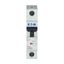 Miniature circuit breaker (MCB), 32 A, 1p, characteristic: Z thumbnail 6