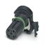 SACC-CI-M12FSB-5CON-L90 SH SCO - Contact carrier thumbnail 3