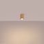 GOLDEN TUBE CARBON SPOT LIGHT FOR ELEGANT LIVING ROOM ON GU10 thumbnail 6