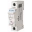 PL7-C0,75/1 Small circuit breaker, 10kA 1p (instead of 278545) thumbnail 1