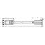 pre-assembled connecting cable;Eca;Socket/open-ended;white thumbnail 4