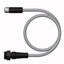 Supply Cable - M12 Power Extension Cable   RKP56PLB-0.3-RSM50.2/TXG thumbnail 2