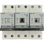 Fuse switch-disconnector, LPC, 25 A, service distribution board mounting, 3 pole, DII thumbnail 14