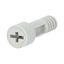 Screw for the ACQUA Combi series thumbnail 1