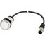 C22-D-W-K10-P3 Pushbutton, Flat, momentary, 1 N/O, Cable (black) with M12A plug, 4 pole, 0.5 m, White, Blank, Bezel: titanium thumbnail 5