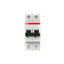 S202-D10 Miniature Circuit Breaker - 2P - D - 10 A thumbnail 1