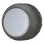 M22S-DL-W Illuminated pushbutton actuator, RMQ-Titan, Flush, momentary, White, Blank, Bezel: black thumbnail 6