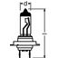 64215-01B 70W 24V PX26D 10XBLI1DK  OSRAM thumbnail 2