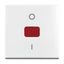 Central plate with rotary knob, with imprint 15 min. Busch-balance® SI thumbnail 3