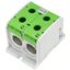Aluminium /Copper terminal, 1-pole Double green, 300mmý thumbnail 5