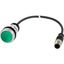 C22-DL-G-K10-24-P1 Illuminated pushbutton actuator, Flat, momentary, 1 N/O, Cable (black) with M12A plug, 4 pole, 0.2 m, LED green, green, Blank, 24 V AC/DC, Bezel: tita thumbnail 1