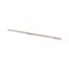 Z-GV-16/1P+N-2TE/16 Phase busbar, 2-phases, 16qmm, fork connector thumbnail 3