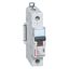 MCB - DX³ 10000 - 16 kA - 1P - 230/400 V~ - 6 A - D curve thumbnail 1