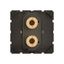 BINDING POST 2OUTLETS thumbnail 4