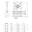 1-conductor female connector, 2-row CAGE CLAMP® 1.5 mm² black thumbnail 4