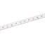 LED Essence Strip RGBW waterproof, 96W RGBW/24V/IP66 5M thumbnail 1