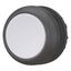 Pushbutton, RMQ-Titan, Flat, momentary, gray, Blank, Bezel: black thumbnail 6