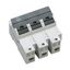 Holder for cylindrical fuses thumbnail 1