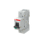 MD99 thumbnail 4